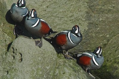 DSC02470-1.jpg