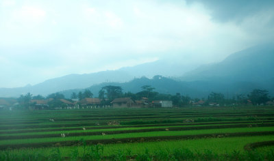 Jakarta to Solo