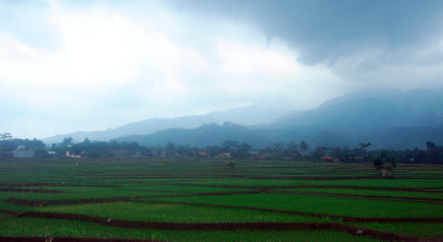 Jakarta to Solo