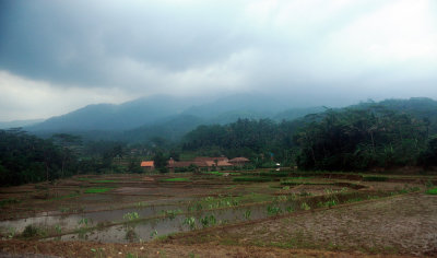 Jakarta to Solo