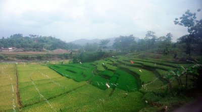 Jakarta to Solo