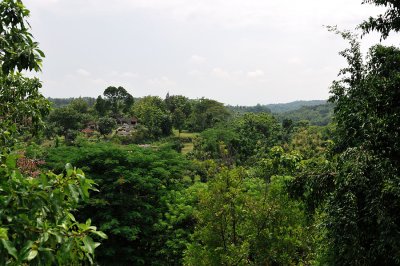 View from Sangiran Museum