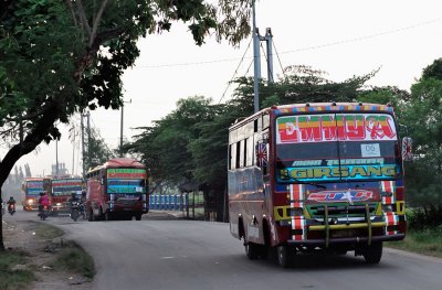 Campaign Buses