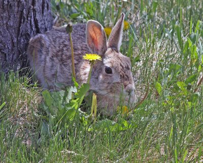 Sitting just outside my front door