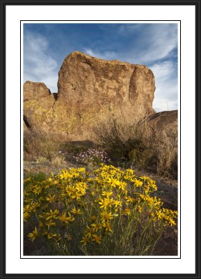 Southwest: City of Rocks