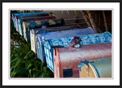 Painted mailboxes