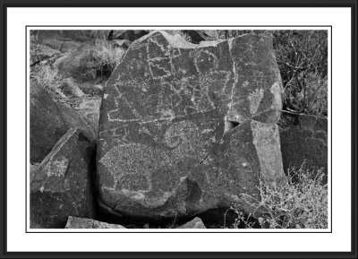 Three Rivers Petroglyph Site