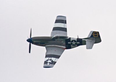 g3/08/445708/3/102101822.FvGA0kln.jpg