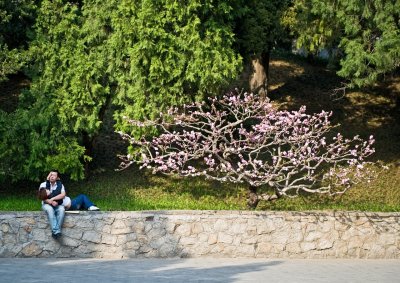 Love in the garden