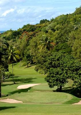 2. St Lucia golf.