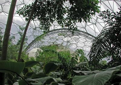 7. Eden Project roof dome.