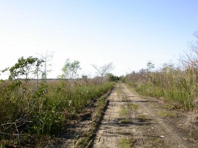 smallDSCN8182.JPG