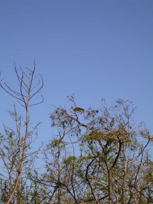 smallDSCN8183.JPG