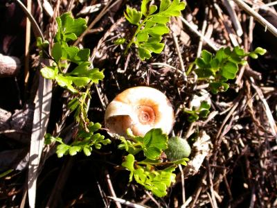 smallDSCN8189.JPG