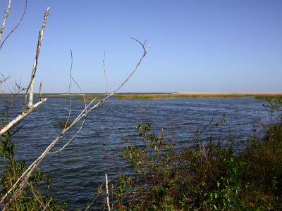 smallDSCN8202.JPG