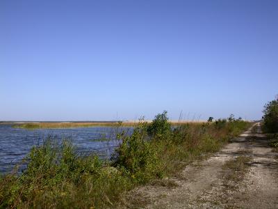 smallDSCN8214.JPG
