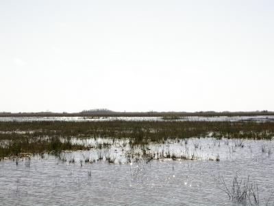 smallDSCN8243.JPG