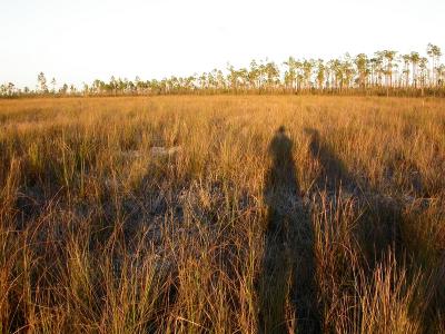 Dec., 2005. to  Everglades, FL