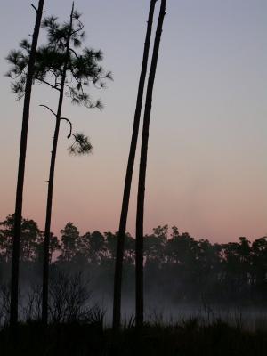 smallDSCN8287.JPG