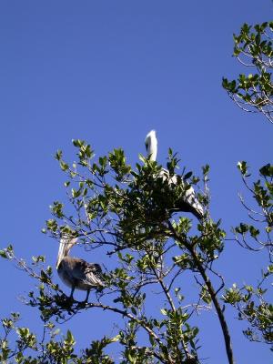 smallDSCN8302.JPG
