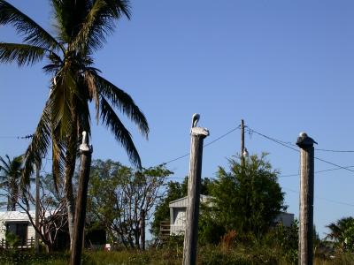 smallDSCN8332.JPG