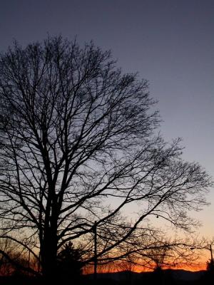 Shenandoah Hiking 2006 (Lunar New Year)