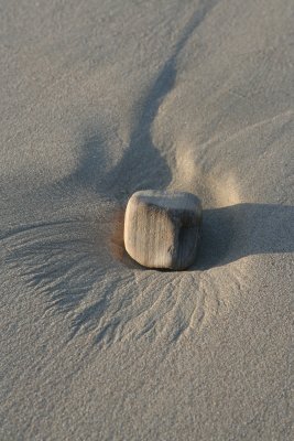 IMG_0010.jpg