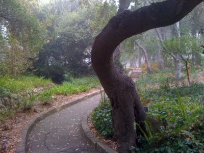 beaches_and_gardens_of_california
