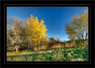 Autumn Colors (HDR)