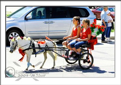 buggy-two_Q4I7249.jpg