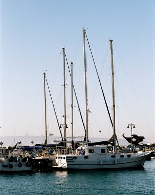 g3/08/554308/3/121175828.rJhXWJk9.jpg