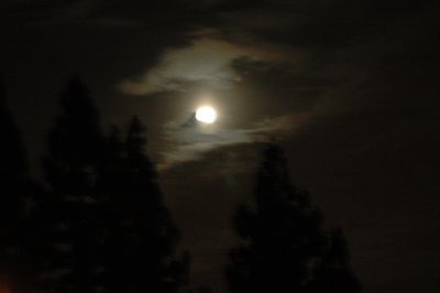 DSC_0793.JPG
