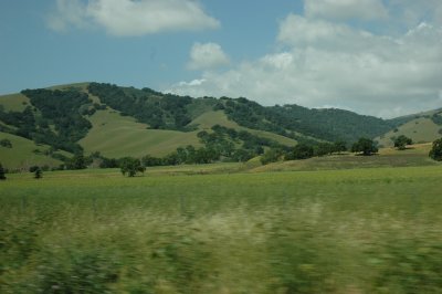 DSC_7394.JPG