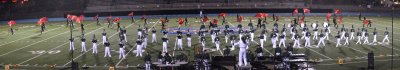 scsboa pan2.jpg