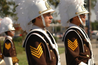 DSC_8870.JPG