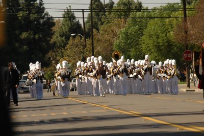 DSC_9037.JPG