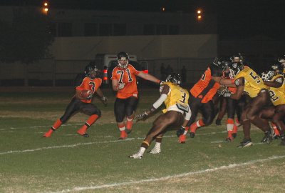DSC_7803.JPG