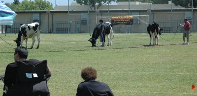 DSC_0216.JPG