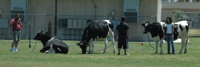 DSC_0245.JPG