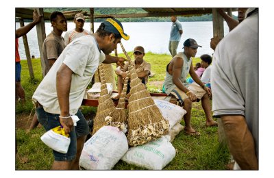 My Kava, the best of all kava