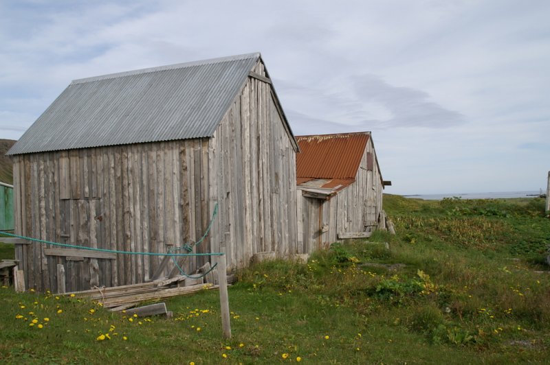 PICT0275.JPG