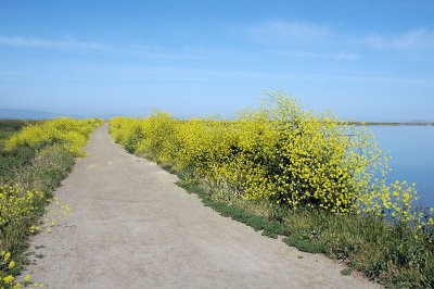 g3/08/578308/3/124009927.0CN7afty.jpg