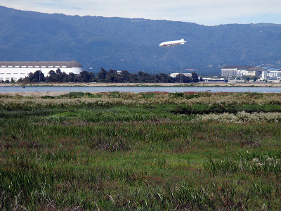 Airship Landing at Moffet Air Field