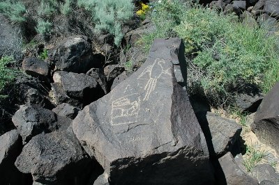 Macaw Petroglyph