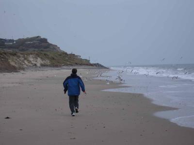 Sean chasing the Birds Again !