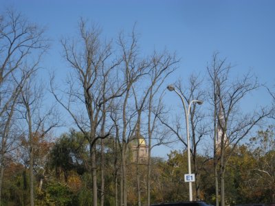 University of Notre Dame, South Bends