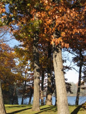 Oconomowoc Retreat House in The Fall