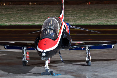 Hawk from above.jpg