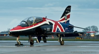 Display Hawk.jpg
