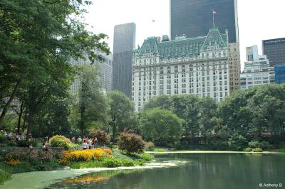 Over the Pond to the Plaza 2
